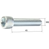 Screw M9 x 45 with inbus head