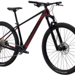 Polygon Syncline C3 - Carbon XC Extra Large - Image 5