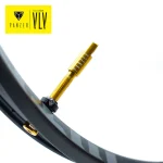 PANZER VLV GOLD <br> TUBELESS VALVE - Image 2