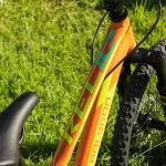 Polygon Relic 20 Orange - Image 6