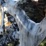 Cycle Tungsten Bundle - Image 10