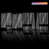 frame protection film Gravel Bike BPG01 Forest white glossy - unleazhed