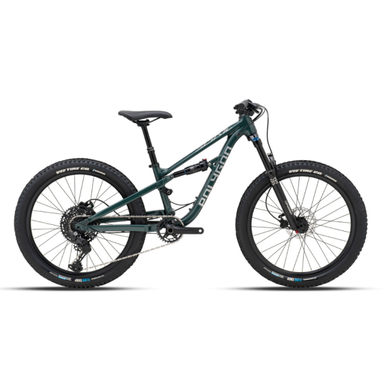 Polygon Siskiu D24 EVO