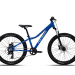 Polygon Relic 24 BLUE GLOSS