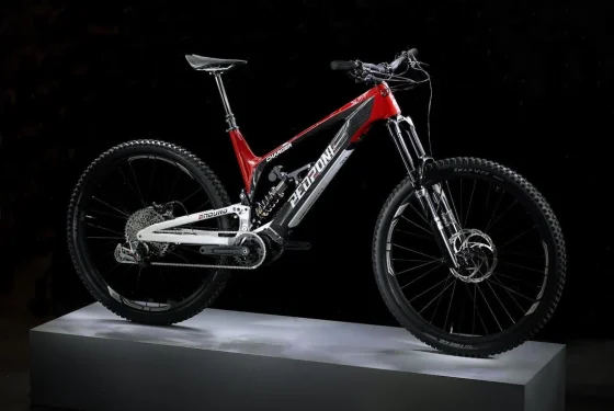 Pedroni Charger - Image 2