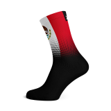 Mexico Flag Socks
