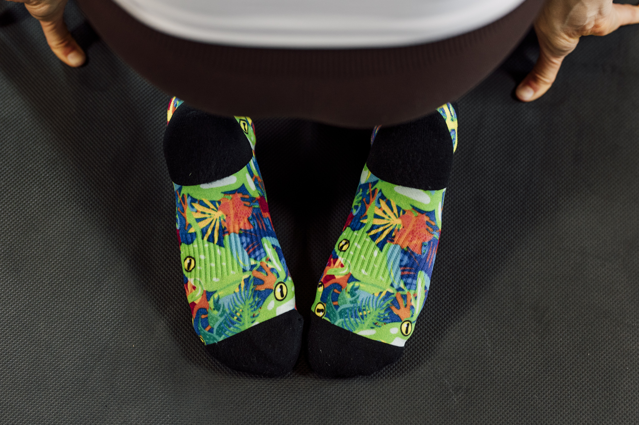 Birds & Frogs Tab Combo - Image 4