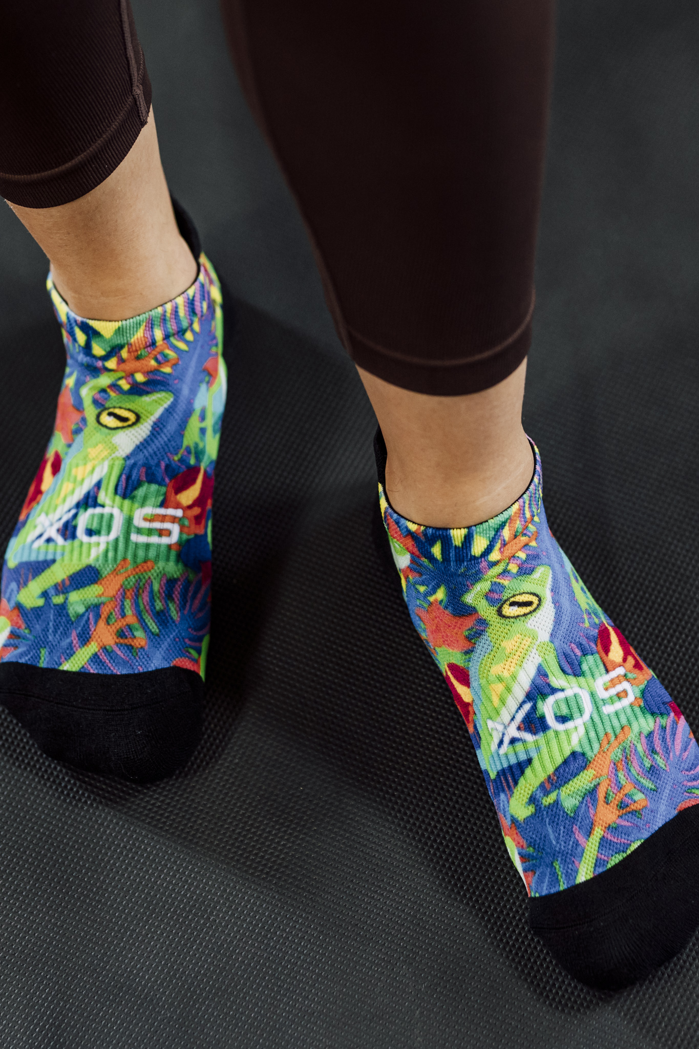 Birds & Frogs Tab Combo - Image 5